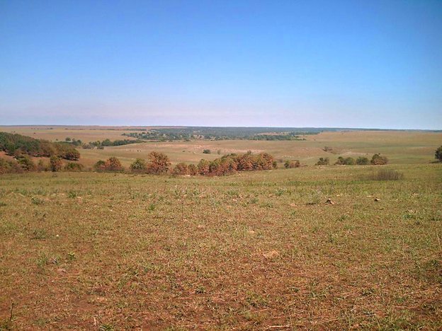 a prairie landscape below a blue sky