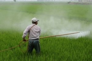 image of man spraying cropland