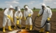 Four people wearing white hazmat suits and masks and yellow gloves and boots either apply or clean up some substances on a farm field.