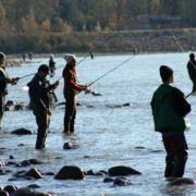 Several people fishing on the shore.