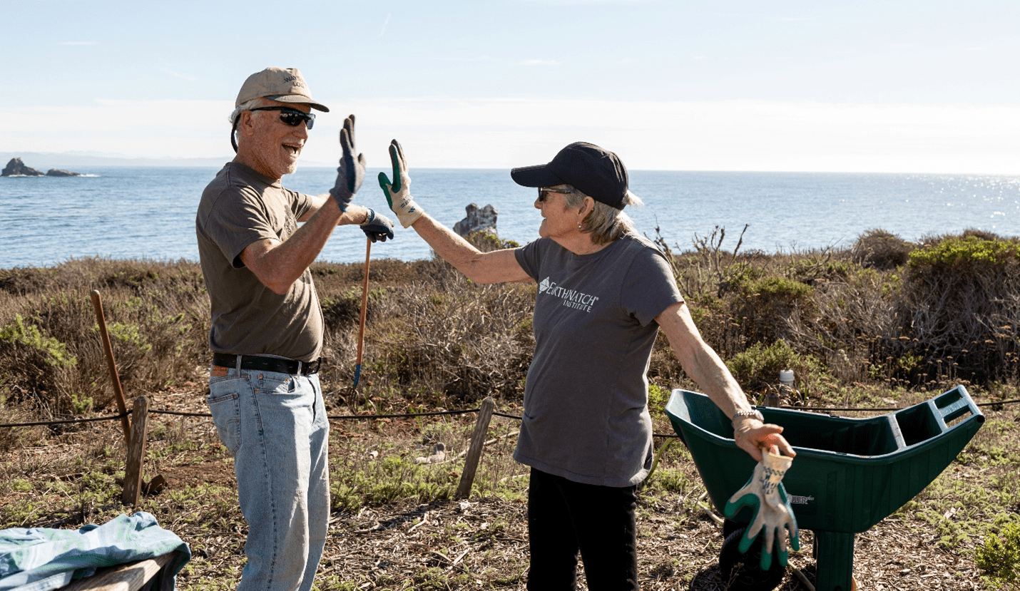 Two smiling people give each other a high five, wearing work gloves. One of them leans on a wheelbarrow, and there's a body of water in the background.