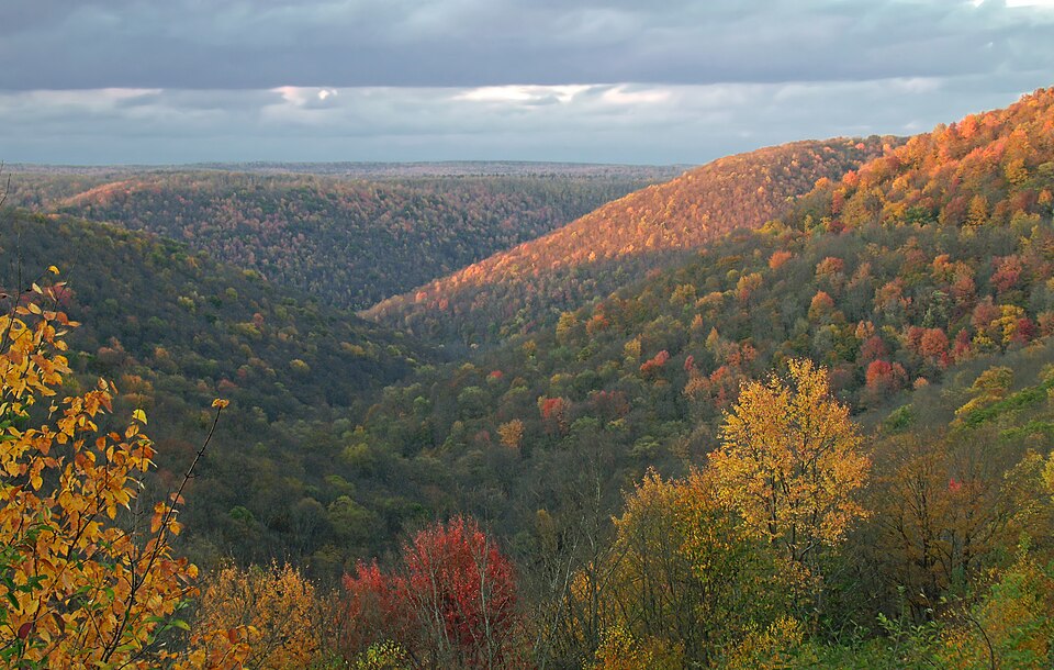 Rolling foothills with multicolored fall leaves
