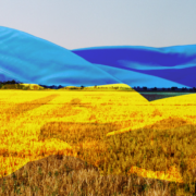 Ukrainian wheat field with an image of the ukrainian flag overlayed.