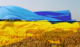 Ukrainian wheat field with an image of the ukrainian flag overlayed.