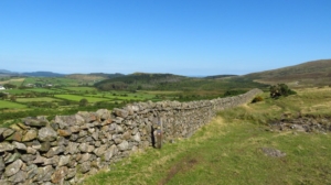 A stone wall through rural Ireland.