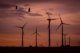 birds passing through a wind farm at dusk