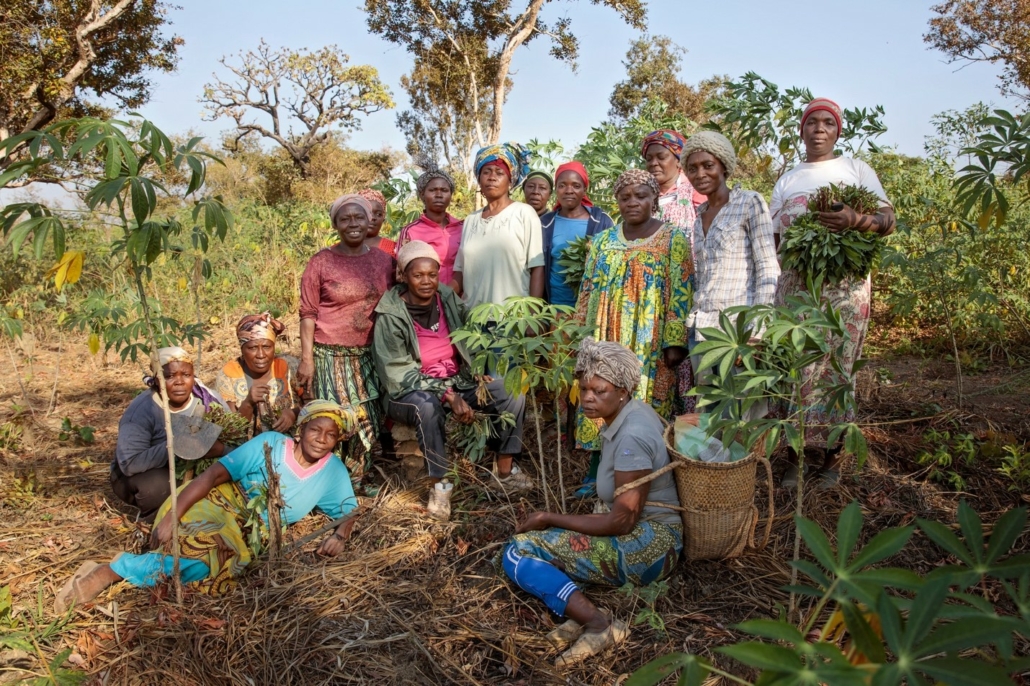 a group of women farmers, members of a cooperative, in a forested area in Cameroon